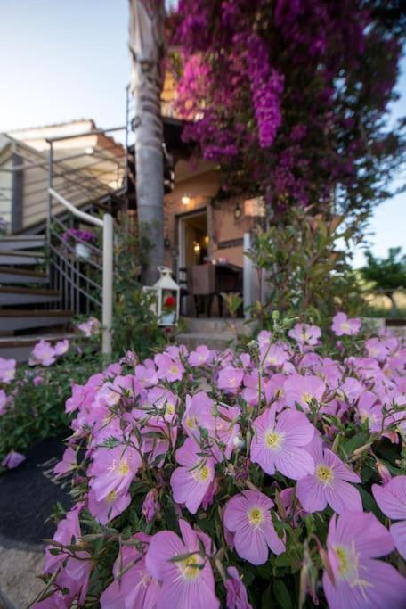 Bougainvillea House 1 Kalamata Exterior photo